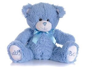 Baby boy/girl teddy